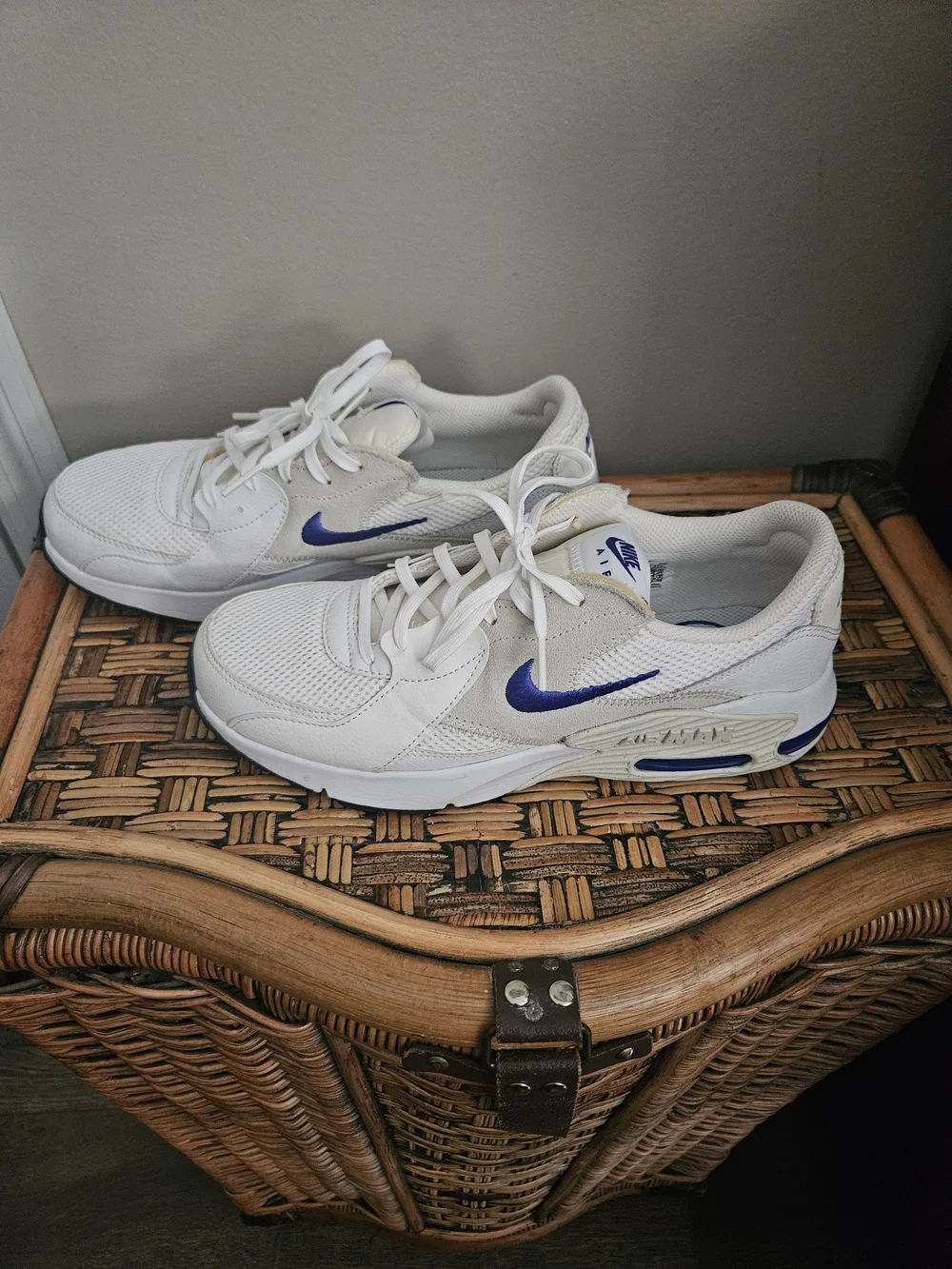 Nike Air Max Women's White Sneakers with Blue Swoosh